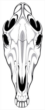 Image of a horse skull that can be used for printing on T-shirts, as a logo or for tattoos.