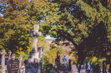 graves in the cemetery in the autumn season