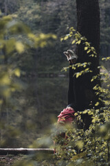 A woman stands in her arms, sport. Health exercises
