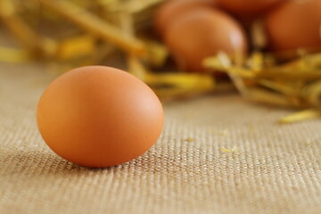 Fresh raw brown eggs on straw 
