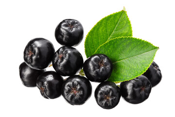 Chokeberry with green leaves isolated on white background. Clipping path and full depth of field