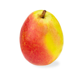 One pear isolated on a white background.