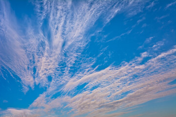 Cirrostratus clouds in the blue sky
