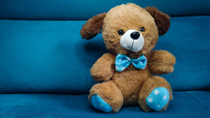 Ursinho de pelúcia marrom sentado em um sofá azul