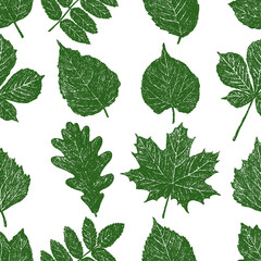 Seamless pattern of set silhouettes  leaves of various deciduous trees