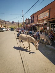 Fototapete Route 66 Route 66, USA scenes.  © Get Lost Mike