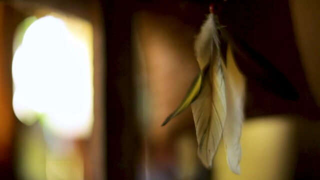 Isolated view of feathers on a tribal necklace at a village along the Amazon River gently blowing in the breeze