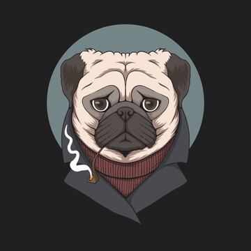 Pug dog smoke pipe illustration