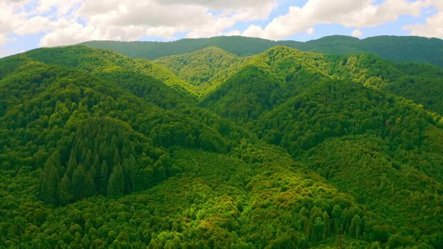 drone flies forward to the mountains covered green forest summer view in day time