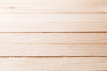 fresh pine planks wooden background backdrop. looking above. studio shot. empty timber layout for design