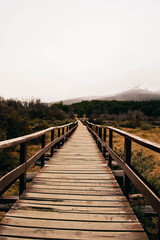 Wood road in valley.