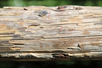 Extreme close-up of colorful equestrian obstacle