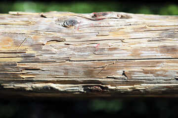 Extreme close-up of colorful equestrian obstacle