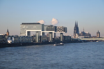 Naklejka premium Crane houses and Cologne Cathedral in Cologne, Germany