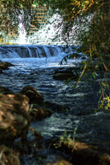 Forest Waterfall