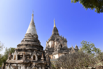 Obraz premium Gawdawpalin Temple, the second tallest Buddhist temple in old Bagan, Mandalay region, Myanmar (Burma)