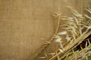 Spikelets of autumn grass on sackcloth background with copy space. Top view