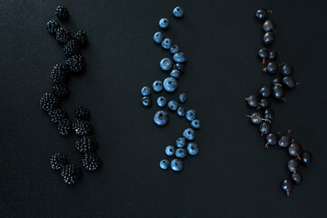 Mix set layout of different types of black berries on a black table. Stylish seasonal vitamins