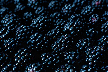 Close-up of ripe black mulberry berries. View from above