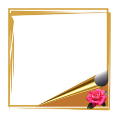 Abstract square frame with rose flower. Illustration of blank frame, card with photo of red fresh rose.