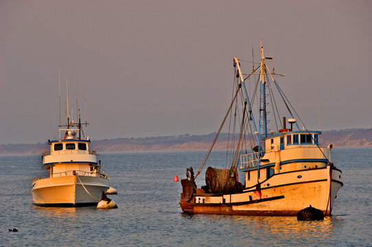 Moored fishing boats in late afternoon sun, Monerey Bay, California