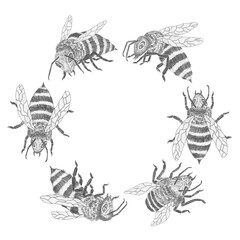 Circle of bees. Round frame of hand drawn bees on white background. Vintage illustration for honey industry, design, business cards, posters.