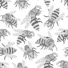Seamless pattern with black and white bees on white background. Stylish vintage texture. Jpeg