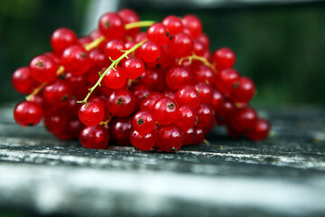 Fresh red currants on background. Healthy summer fruits