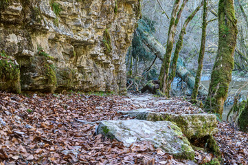 Narrow paths winding around rock edges lead through Wutach Canyon, the largest canyon in Germany....