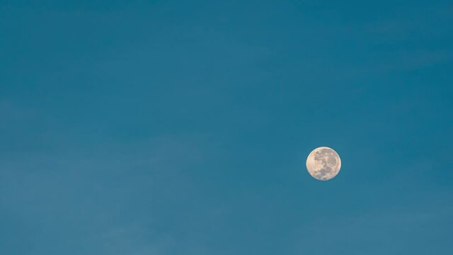 Close-up setting full moon moves in the blue sky at sunrise. 4k time-lapse