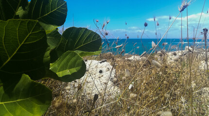Il mare pugliese.
