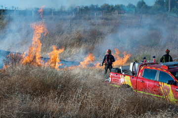 Fototapeta premium Two firefighters face a forest fire
