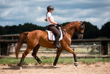 Reiterin trabt mit ihrem Pferd über einen Reitplatz während eines Dressur trainings