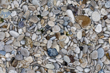 Texture con sassi di una spiaggia