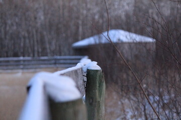 Fence With Snow