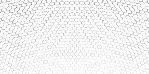 Honeycomb hexagon background pattern. Vector isolated texture. Comb seamless texture design. Vector hexagonal cell texture.