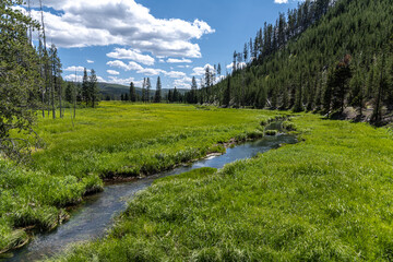Obsidian Creek in the Yellowstone National Park