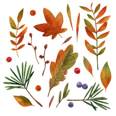 Autumn set of watercolors