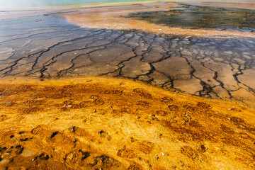 Mud and Bacteria Formations at the Grand Prismatic Spring, Yellowstone National Park