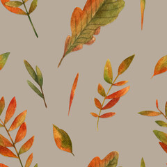 Obraz premium Autumn leaves pattern
