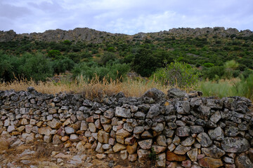 Rural landscape with stone wall