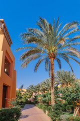 Fototapeta na wymiar Luxury holiday villa with palm tree