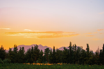 Sunset behind trees and mountains