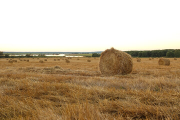 haystacks on the agricultural field at sunset