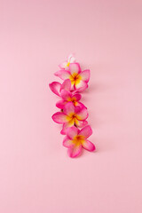 Fototapeta na wymiar Plumeria flowers flat lay composition on pink background with copy space.