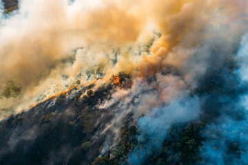 Wildfire aerial view. Fire and smoke. Burning forest. Natural disaster from climate change. Dry grass and trees burns.