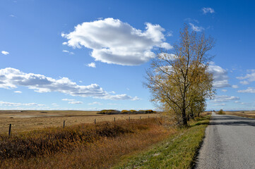 Fototapeta na wymiar road in the Alberta countryside in autumn