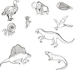 set of hand drawn dinosaurs