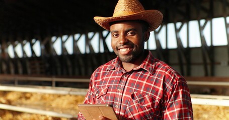 Portrait of African American man shepherd smiling at camera in shed with cattle animals and using...