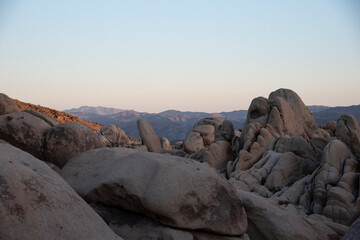 Joshua Tree National Park
